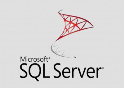 integracion-microsoft-sql-server